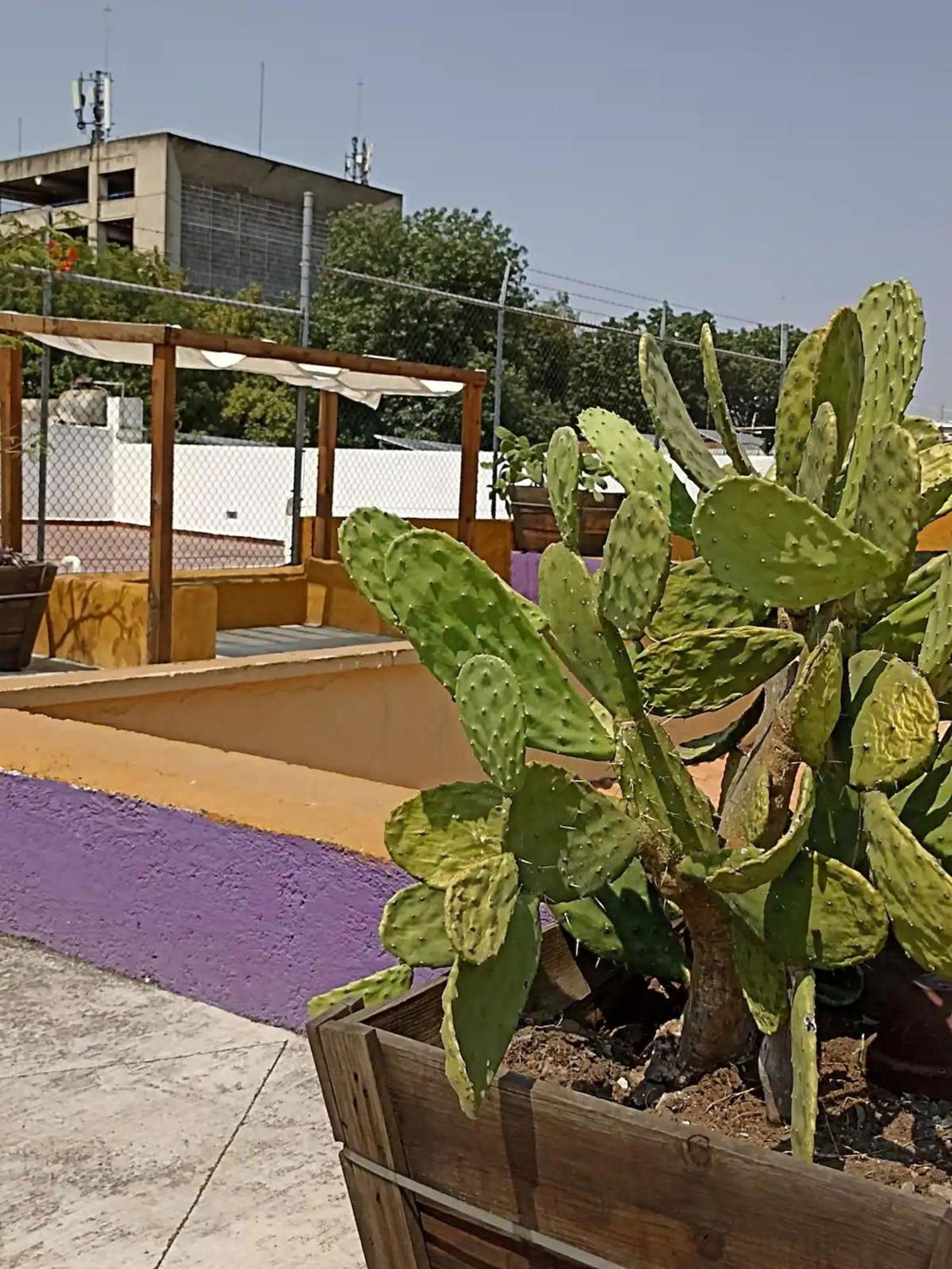 1 Guadalajara Corazon Del Centro Historico Hospedate En Una Casa Antigua En Una Habitacion Sencilla Con Areas Comunes Y Banos Compartidas Dış mekan fotoğraf